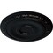 Ekena Millwork Caputo Ceiling Medallion (Fits Canopies up to 6"), Hand-Painted Jet Black, 24 1/4"OD x 1 1/2"P CM24CABLF - alternate 4